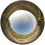 Dales Farm & River Wharfe